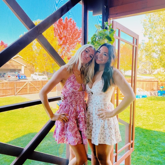 Meet your Posher, Cayden - Picture 1 of 1